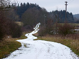 Novoroční pochod 2016 1.1.2016