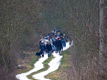 Novoroční pochod 2016 1.1.2016