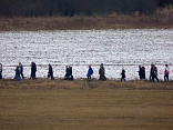 Novoroční pochod 2016 1.1.2016