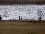 Novoroční pochod 2016 1.1.2016