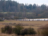 Novoroční pochod 2016 1.1.2016